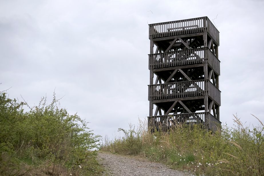 Turm auf dem Ebberg