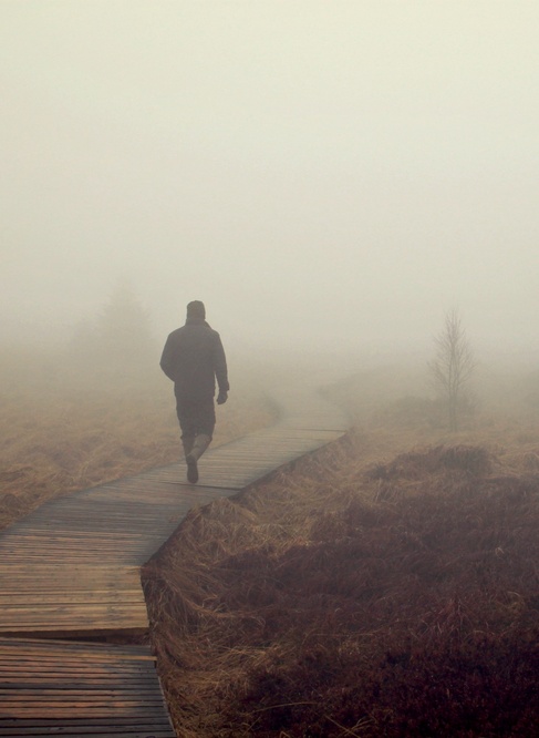 Erwartung im Nebel