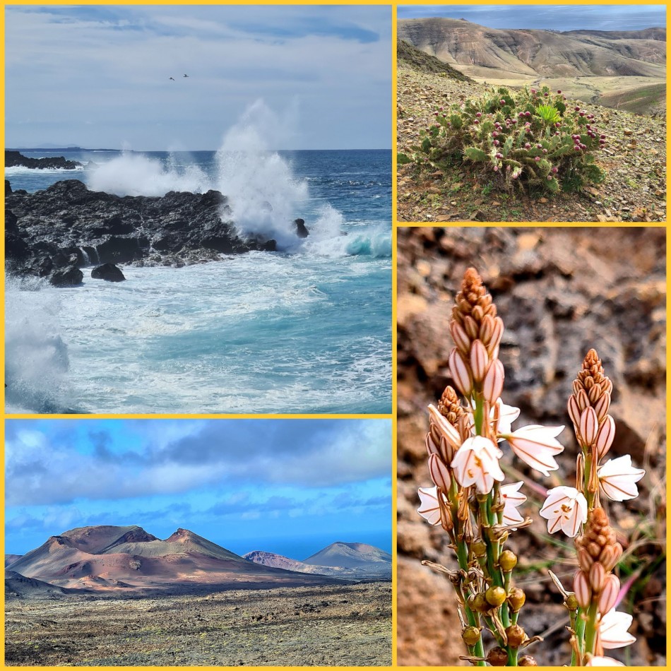 Brigitte Hausherr - Lanzarote