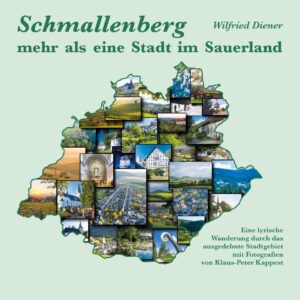 Wilfried Diener - Schmallenberg